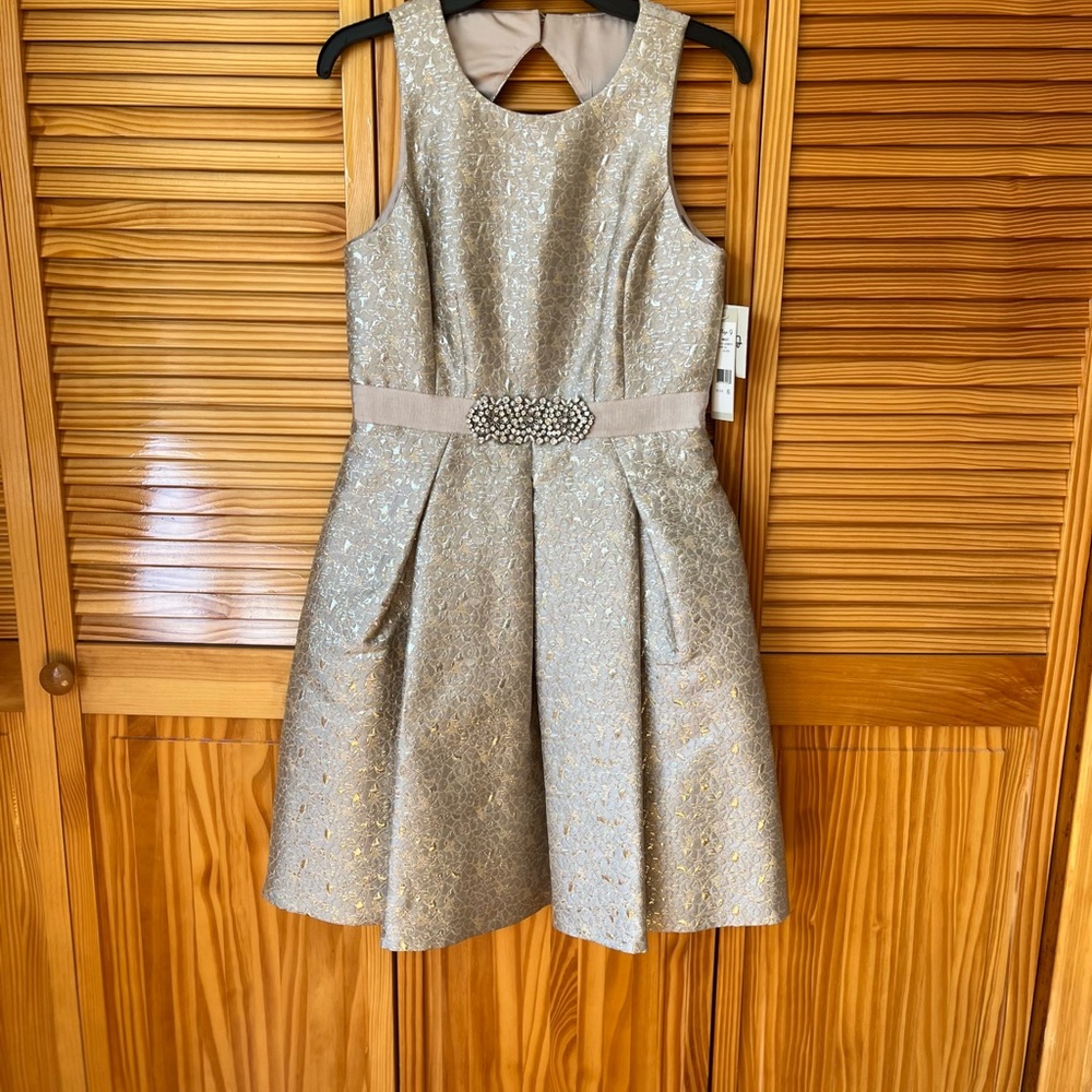 Silver sleeveless with belt detail Eliza J dress